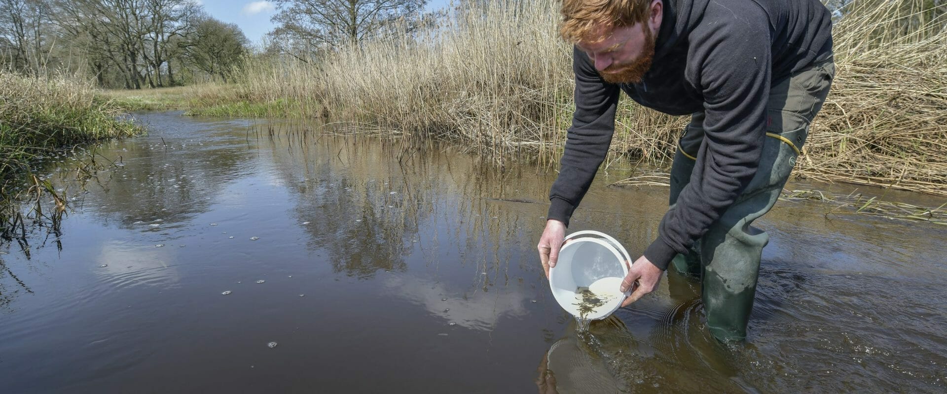 vissen verbinding waddenzee lauwersmeer zeeforel