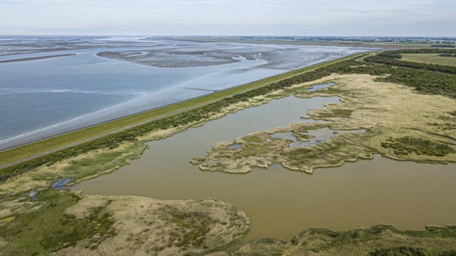 Lauwersmeerdijk