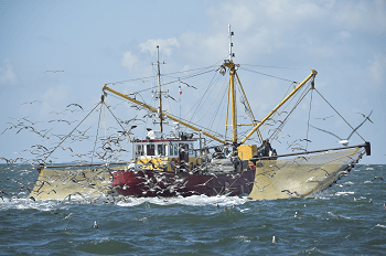 Garnalenvisserij Waddenzee