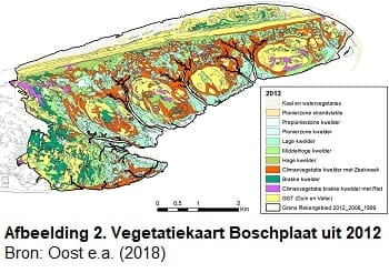 Vegetatiekaart Boschplaat uit 2012 