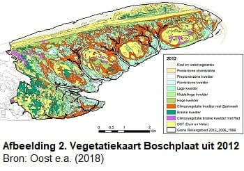 Vegetatiekaart Boschplaat uit 2012