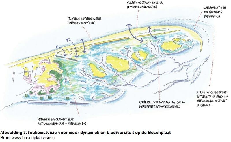 Toekomstvisie Boschplaat Toekomstvisie voor meer dynamiek en biodiversiteit op de Boschplaat (Beeld: Bureau Peter de Ruyter, landschapsarchitectuur)