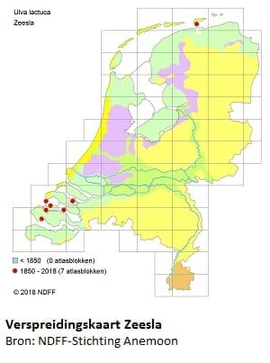 Verspreidingskaart zeesla Verspreidingskaart zeesla