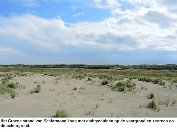 Het Groene strand van Schiermonnikoog 