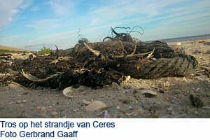Tros op waddenstrand Tros op waddenstrand