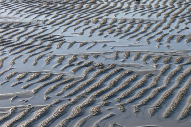 patronen ribbels zand wadden