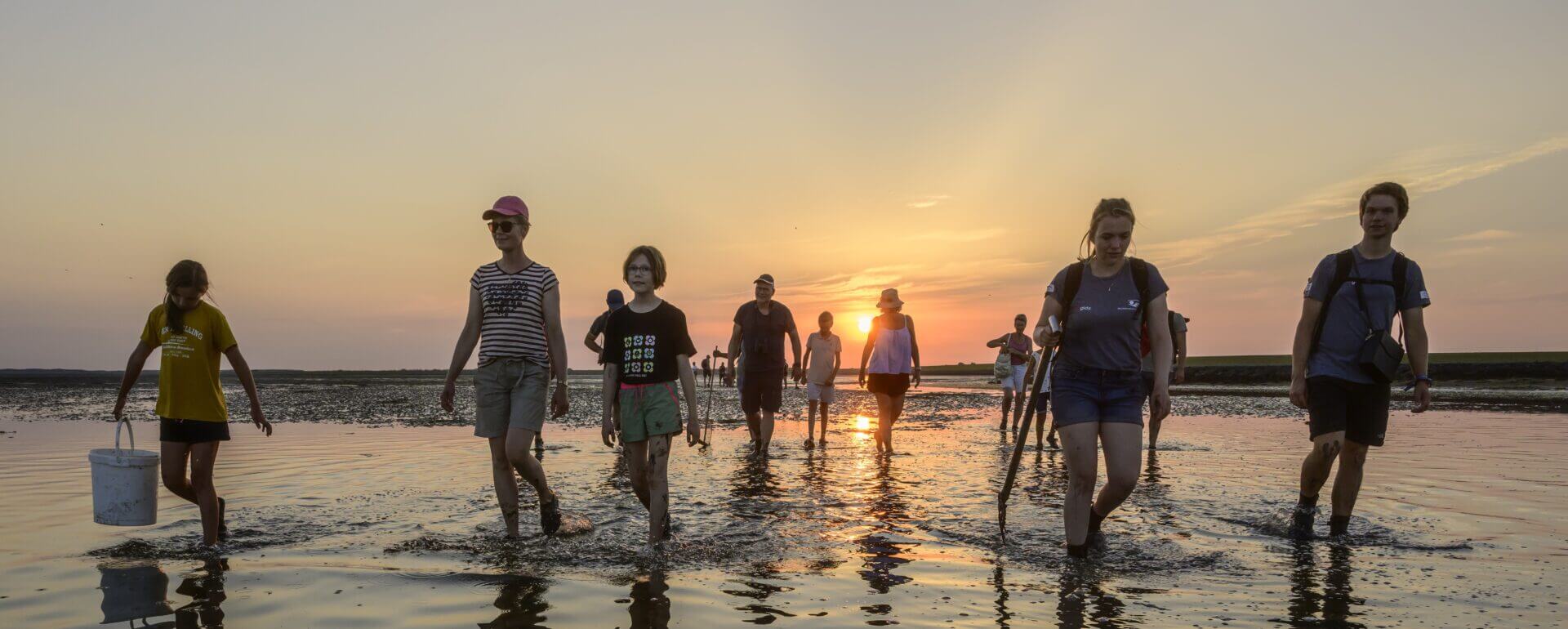 Volwassenen en kinderen lopen bij een ondergaande zon over het wad.