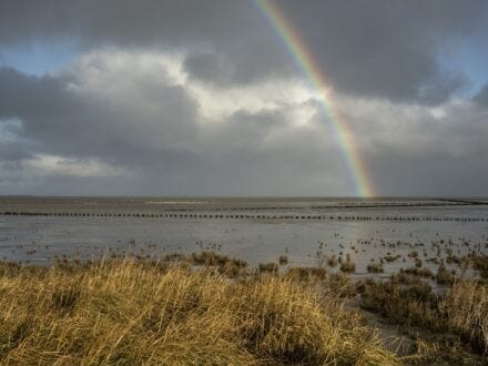 Regenboog op het Wad