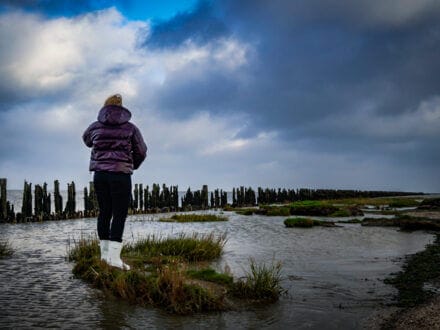 Vrouw kijkt uit over kwelder en wad